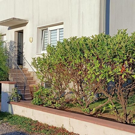 Strasbourg 3 Pieces Avec Jardin Apartment Брюмат Екстериор снимка