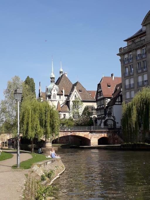 Strasbourg 3 Pieces Avec Jardin Apartment Брюмат Екстериор снимка